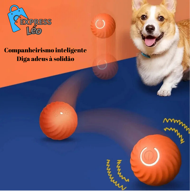 Bola Interativa para Cachorros com Movimento Automático